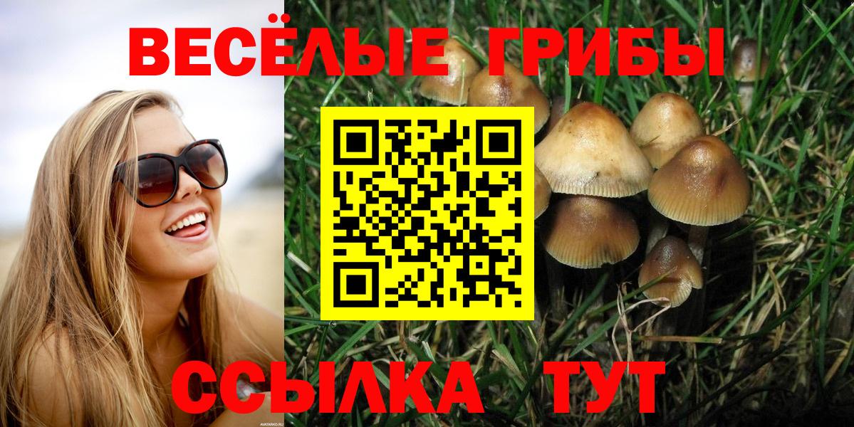 Псилоцибиновые грибы прущие грибы  Вход с VPN  Медногорск 